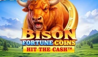 Bison Fortune Coins